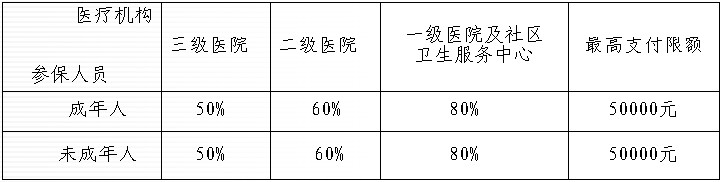 统筹基金支付标准